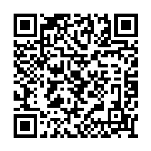 叶尘将目光落在那正在狠命碰撞的两大怪物身上二维码生成