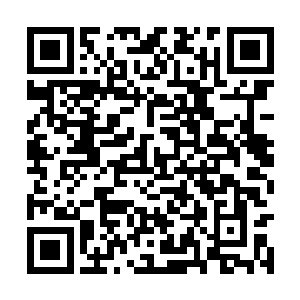 叶惟想安格拉诺不至于落败后跟媒体抱怨说有黑幕二维码生成