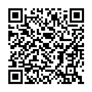 叶惟的要求是温暖阳光之中带有一丝压抑的疯狂二维码生成