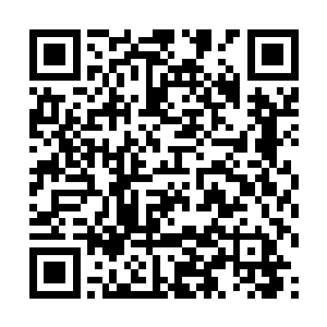 叶文华与叶老夫人叶王氏正一脸客气的送墨景黎出门二维码生成