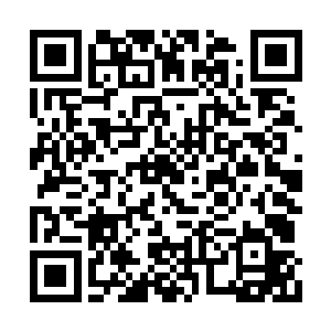 叶文华当然知道叶府里有定王府的人暗中见识着二维码生成