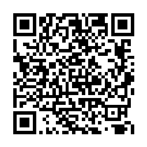 叶易看了看客栈窗口军士们探出东张西望的脑袋二维码生成