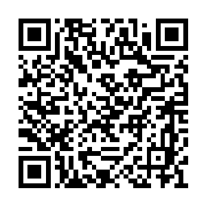 叶枫自然也不会告诉她接下来自己会去收拾李家二维码生成