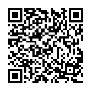 叶楚不慌不忙的吸收着融合着吸收到的恶灵的力量二维码生成