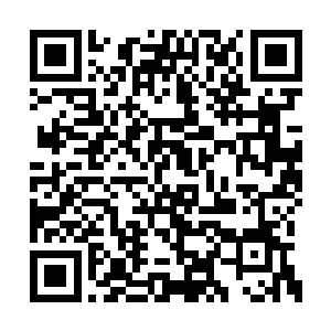 叶楚和晴文婷自然不会把这些普通的植物看上眼二维码生成