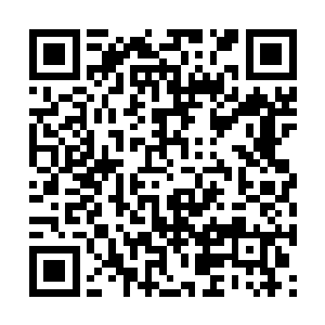 叶楚当年险些将他小姨林诗馨给强了的事情告诉她二维码生成