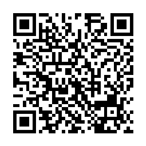 叶楚有些明白金娃娃说的有修行者借助黑铁成就至尊了二维码生成