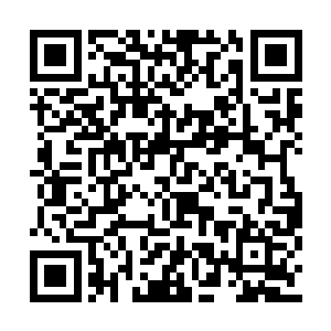 叶楚见过和经历过的打斗比起这激烈百倍的都有二维码生成