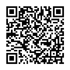 叶海凝垂落在身体两侧的双手紧紧地抓住了床单二维码生成