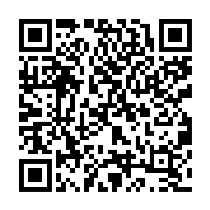 叶海凝就永远都不可能知道那天晚上看到的根本不是陆非凡二维码生成