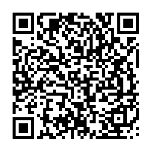 叶海凝眼眸中弥漫着一层浓浓的水雾一瞬不瞬的看着眼前的情景不知道该怎么办二维码生成