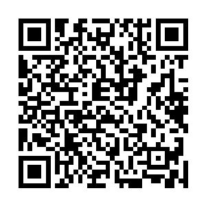 叶然上下打量着晴儿嘴角带着一丝恶趣味的笑容看着对方二维码生成