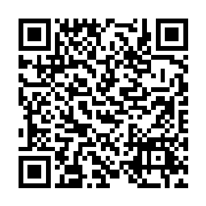 叶然挥舞着拳头朝着孔雀的面孔便是直接轰了过去二维码生成
