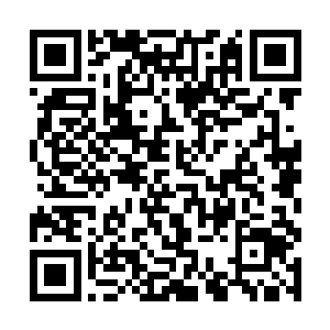 叶然现在所爆发出来的速度简直就是快要超越自己了二维码生成