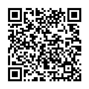 叶然看着那层白色的壁障面色瞬间就是阴沉了下来二维码生成