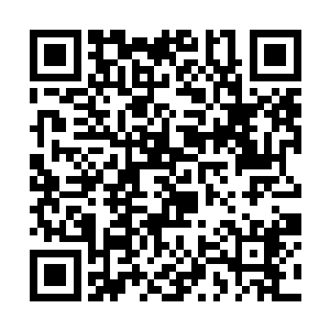 叶然立刻便是拿出为数不多的丹药给苏庆元服用下去二维码生成