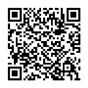 叶然这家伙故意将那些个小的力量之源分给你们二维码生成