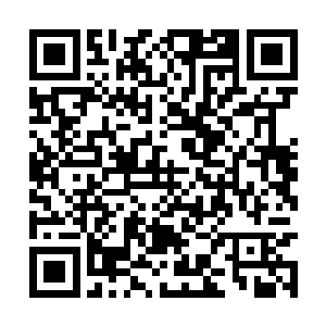 叶璃一抬头就看到他从外间探了个小脑袋往里面往二维码生成