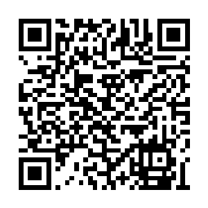 叶璃也没什么大事便将注意力转到了碧落花上面二维码生成