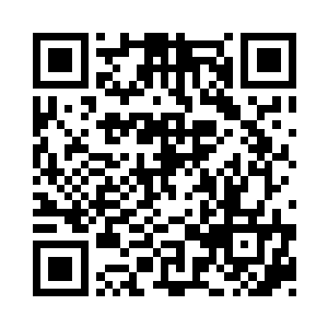 叶璃坐在一边好奇的摆弄桌上的食物二维码生成