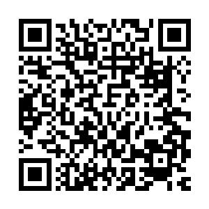 叶璃坚定的认为这绝对是墨小宝小时候他们相处的太少了的缘故二维码生成