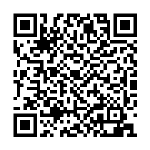 叶璃放眼望去在场的人中虽然她基本上都不认识二维码生成