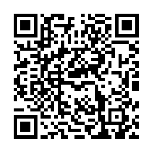 叶璃无奈的看着眼前一脸敌意的韩明晰和淡然自若的徐清尘二维码生成