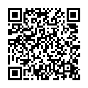 叶璃此举分明是在讽刺他不知礼仪宛如蛮夷一眼二维码生成