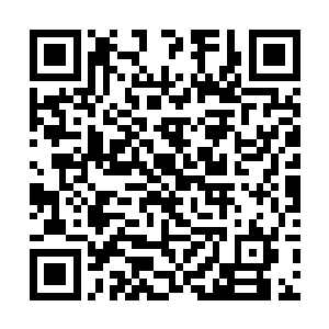 叶璃相信墨景黎绝对会毫不犹豫的扑上来撕了墨修尧二维码生成
