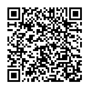 叶璃等人赶到的时候云霆已经和一个同样差不多年纪的年轻小将扭打成一团了二维码生成