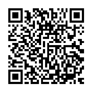 叶璃觉得曾经逼着自己背了那么多古籍的爷爷实在是太明智了二维码生成