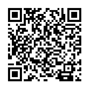 叶璃这几日清闲下来也正准备为自己添购一些书籍二维码生成