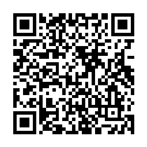 叶知秋只觉得体内浑厚如海的灵力如戳破了的气球似的二维码生成