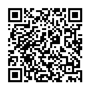 叶秋一字不差的向凌智转告李少浚死的时候留给凌智的话二维码生成