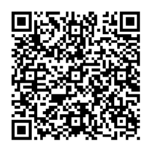 叶秋在空间隧道中大笑其实从一开始他做出那一副害怕的模样就是为了与大蛇丸玩玩二维码生成