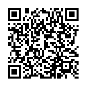 叶秋拿起手里的硬物照着五号的前额头用力拍了下去二维码生成