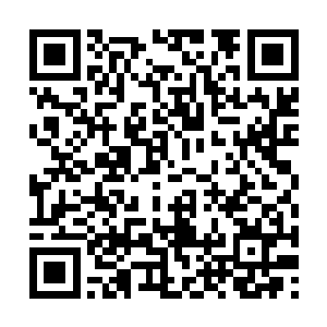 叶秋用仅有两人能够听到的声音对一旁的记者说道二维码生成