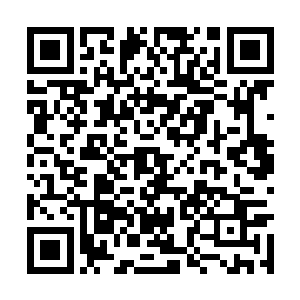 叶秋等人刚来到番疆的时候遇到的就是这样的场景二维码生成