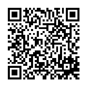 叶笑一脑门自黑线地做出了连他自己都不知道是不是合理的解释二维码生成