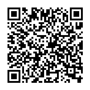 叶笑完全不知道二货自信满满地使唤灵兽事件还闹出来这么大的波折二维码生成