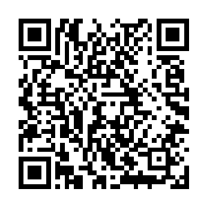 叶笑那边明明已经感受到石碑已然气炸了肺的怒意二维码生成