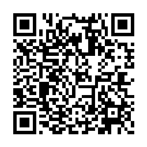 叶老夫人该不会以为她是在抱怨自己不受宠爱吧二维码生成