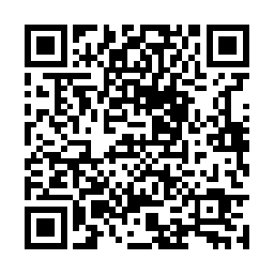 叶莫毫不吝啬的将帝宫十二煞身上剥夺过来的资源二维码生成