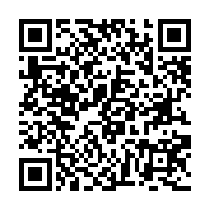 叶莲娜曾经不留余力地资助隆巴迪家族打压其他家族二维码生成