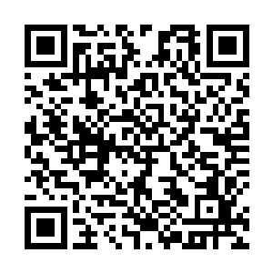 叶莹也因为百花盛会的失意元气大伤叶璃正好落得自在二维码生成