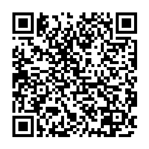 叶道陵挟裹强烈劲气膨胀起来的拳头在啪啪啪地一阵燃烧后竟然越来越小二维码生成
