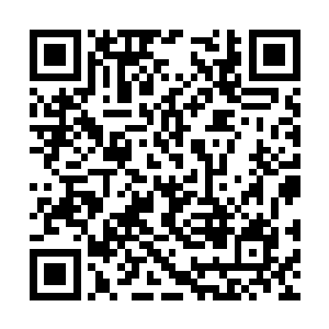 叶问天现在才刚刚将一条血气腾蛇凝练到巅峰而已二维码生成