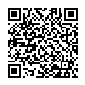 叶青早就听两位龙女夫人聊起――她们虽归为黑帝嫡系二维码生成