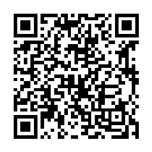 叶青稍有些紧张望着空气中这颗滴溜溜转动欲逃的仙园二维码生成