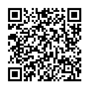 号召武朝国民共同讨伐那弑君后逃亡的天下公敌二维码生成